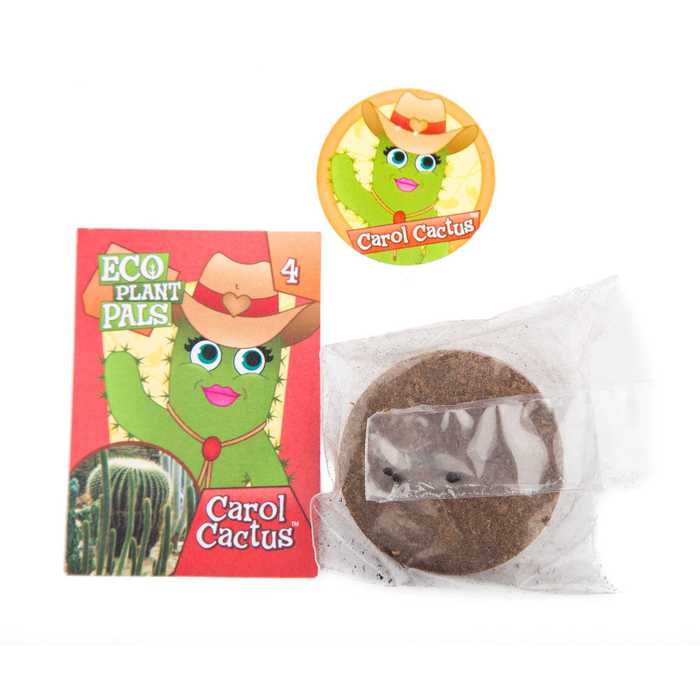 Carol Cactus Eco Plant Pal Hobby Lobby 326678